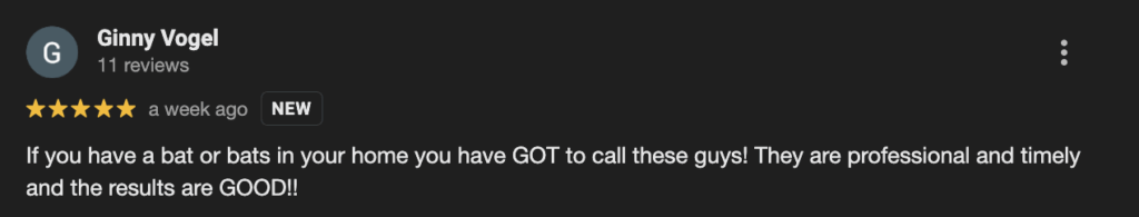 professional-bat-removal-review-evictus-wildlife-solutions-1