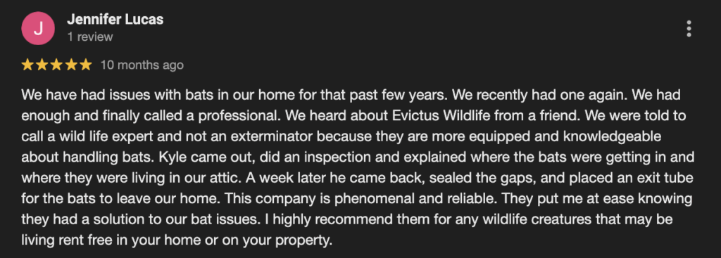 professional-bat-removal-review-evictus-wildlife-solutions-2